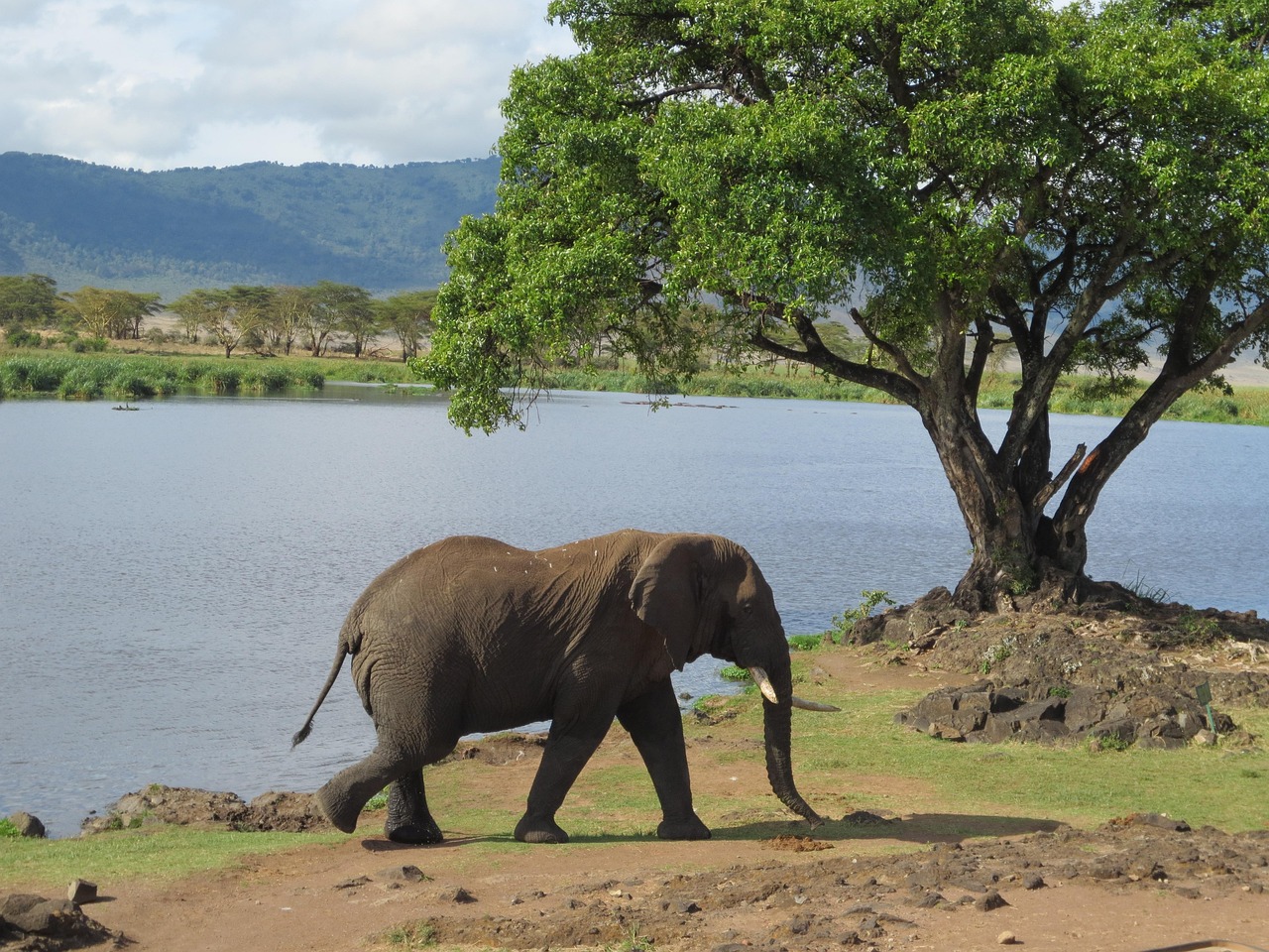 五月艳奴新动态揭秘，探索未知的奇迹