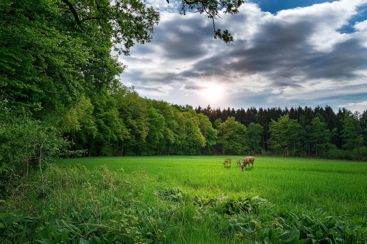 五月最新福建疫情动态观察与解析报告