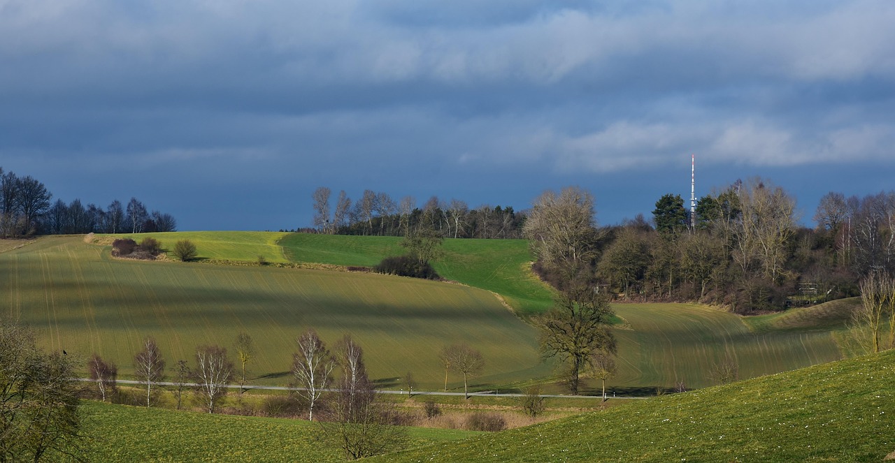吖棒棒糖 第4页