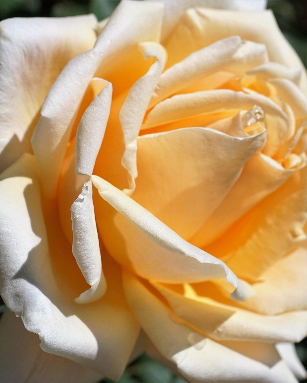 五月卢鑫玉浩的最新动态，五月绽放的光芒