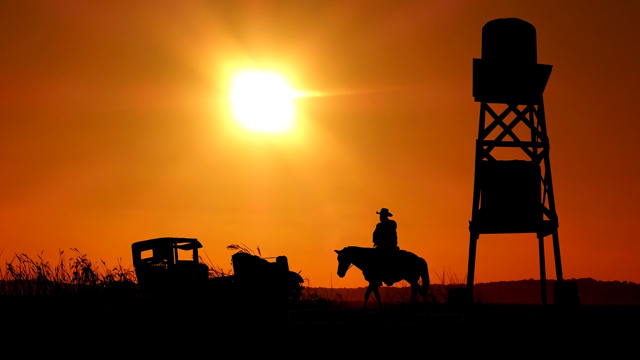 五月外国性电影，多样性与深度探索之旅
