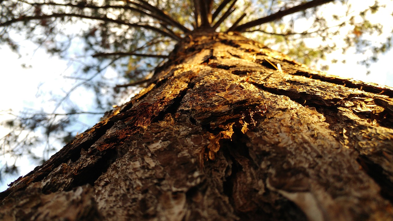 五月安徽疫情最新动态，防控形势与应对策略