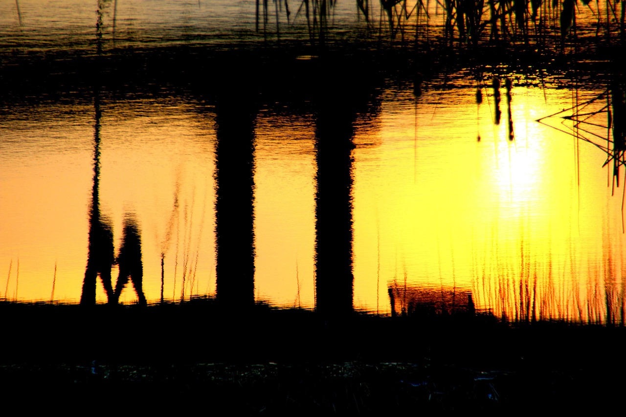 五月，电影与歌曲交织的美好时光