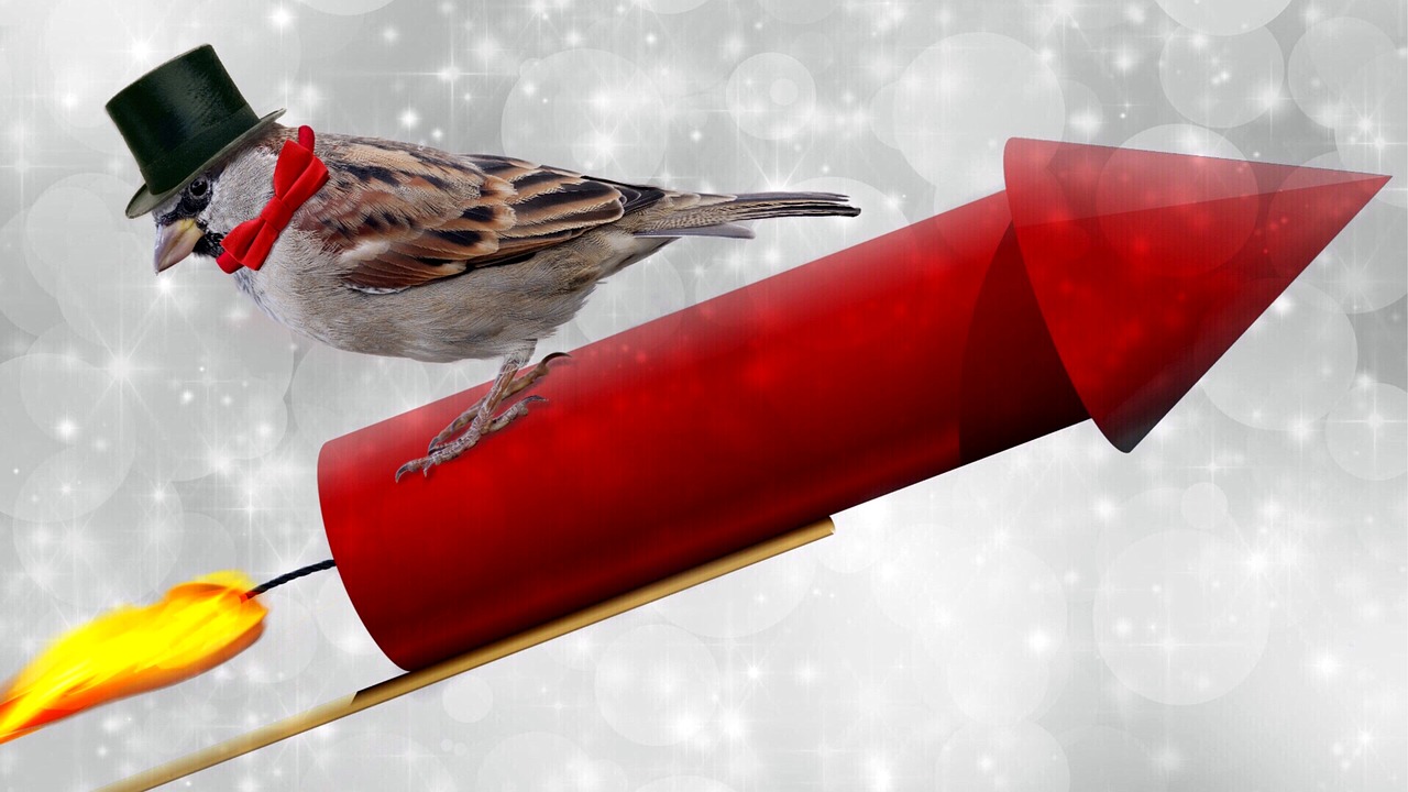 五月最新参战人员政策解析，新篇章开启