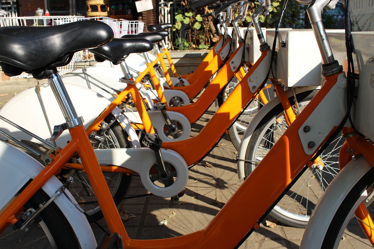 五月乌海最低生活保障动态更新，聚焦最新发展