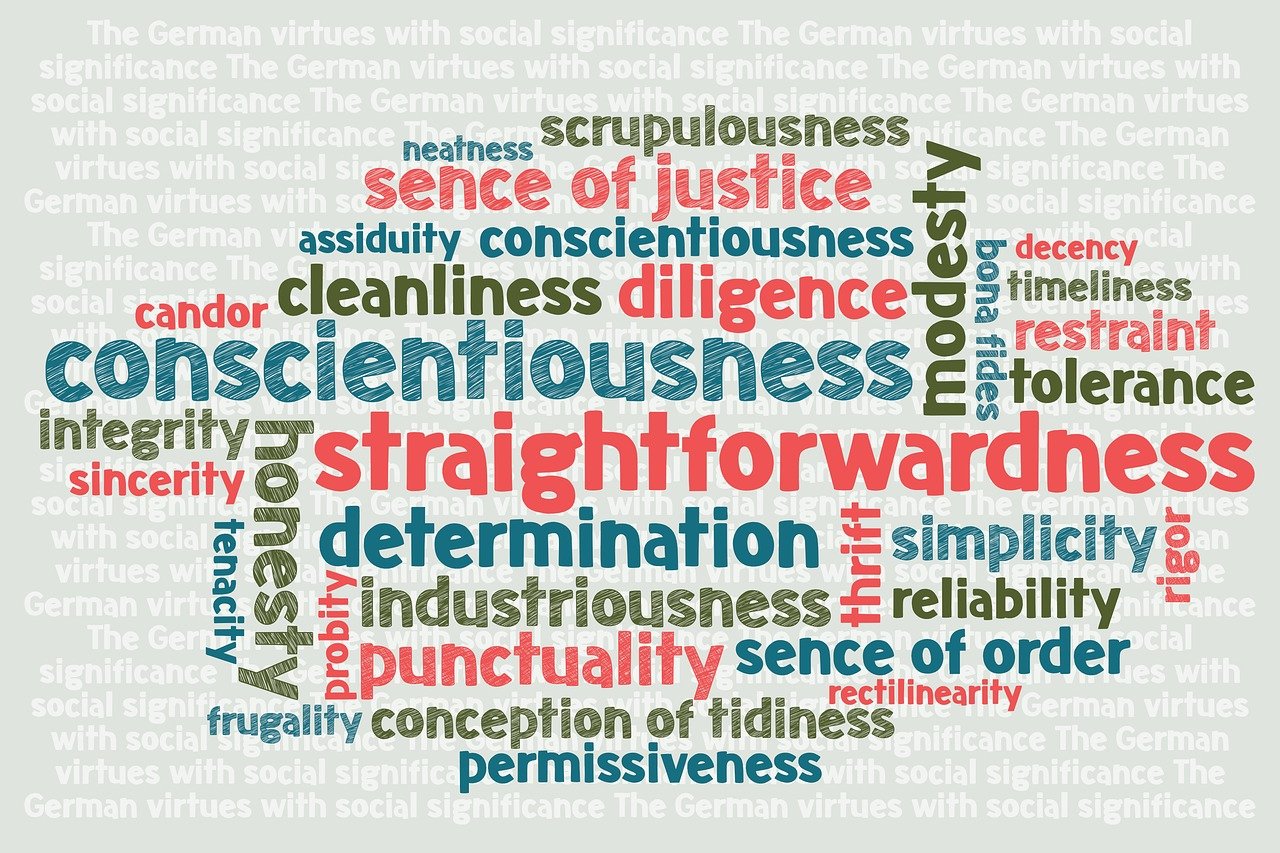 五月网络大电影的崛起及其影响分析