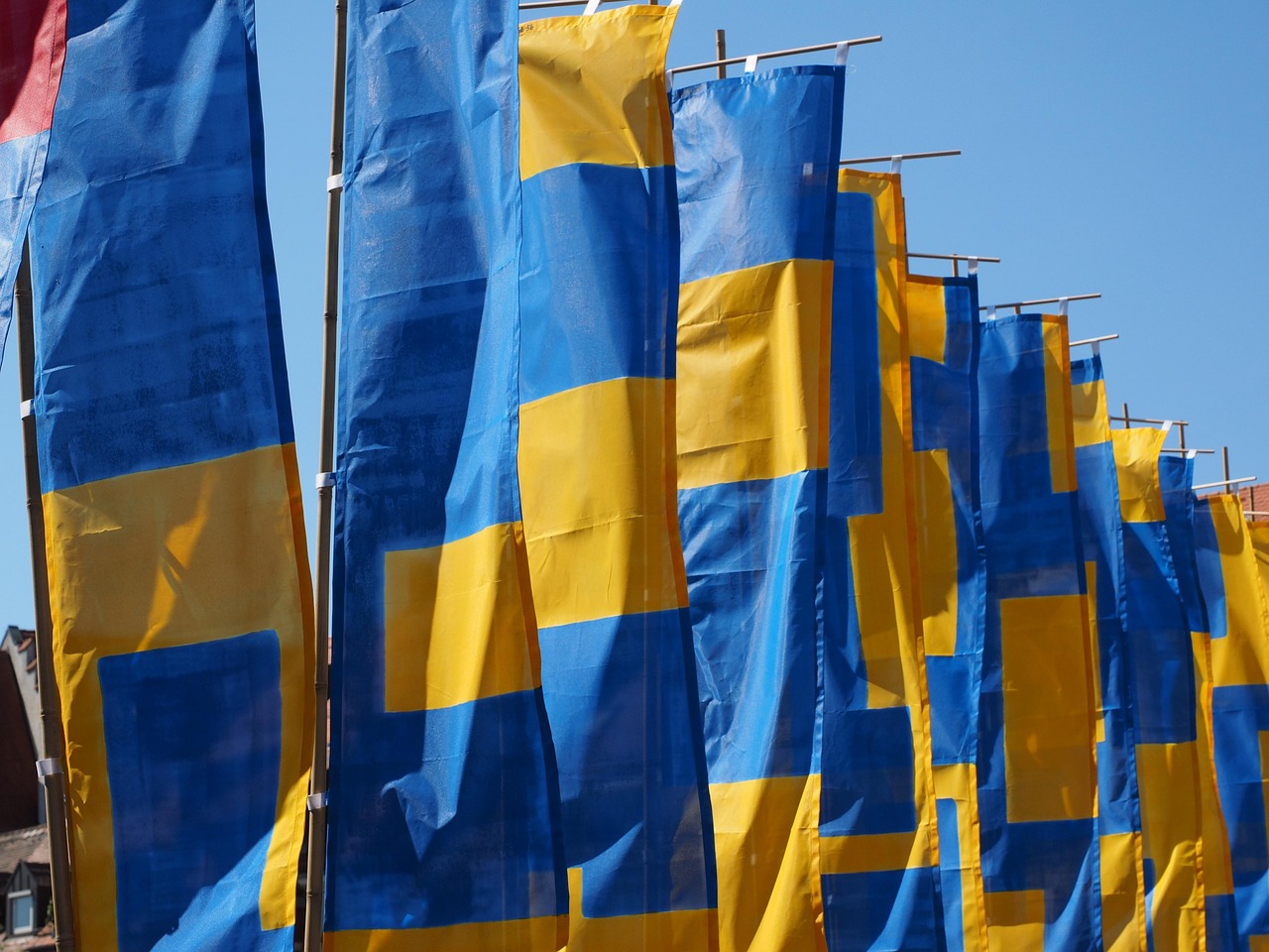 五月校园动态速览,五月校园新鲜事一网打尽!