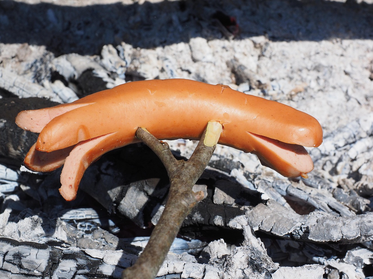 五月石家庄进出通知最新动态及指南