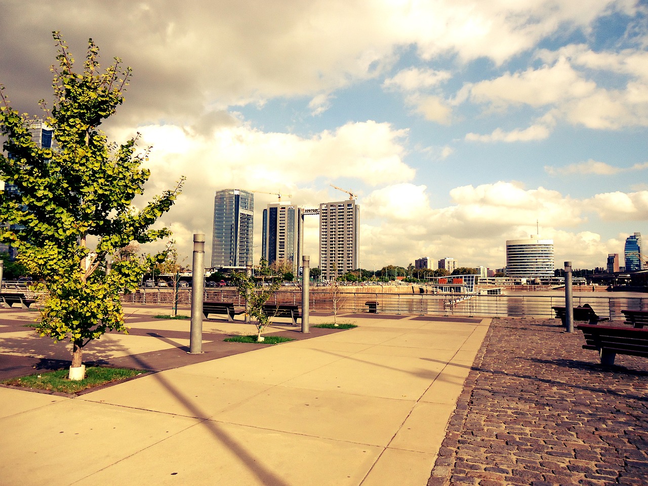 薄荷心凉 第2页