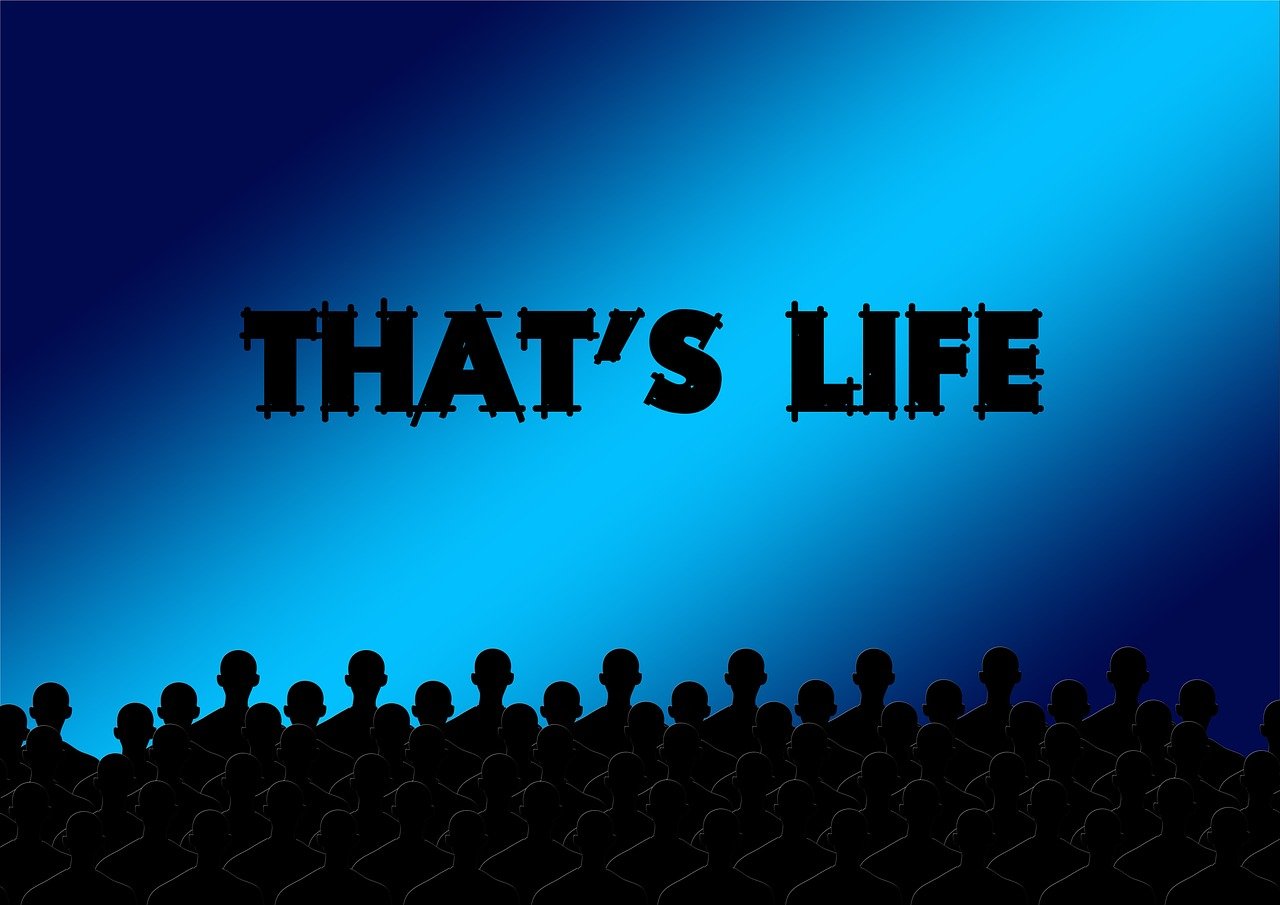 五月影视圈热浪汹涌，最新影视评分排行与观众心声