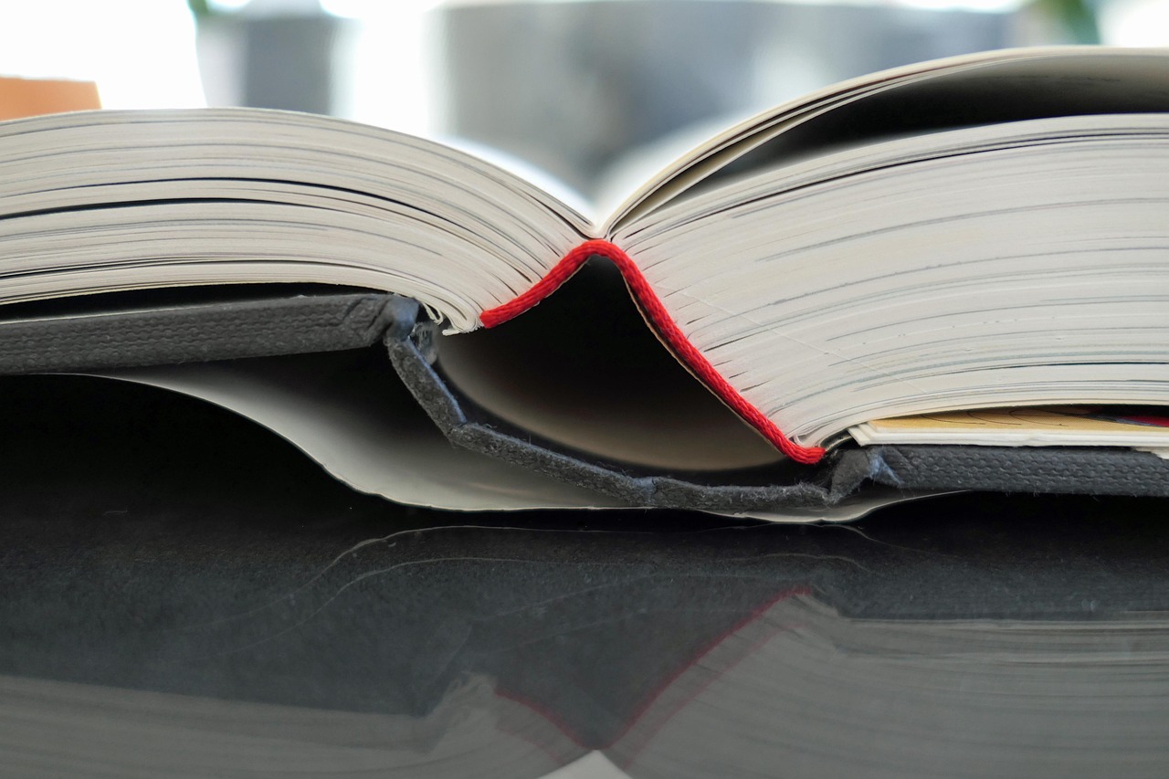 五月仙洋最新资讯概览，全面解读最新动态与资讯