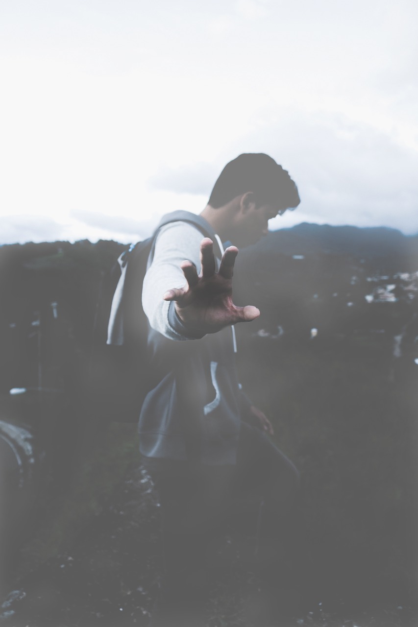 五月陈六何沈轻舞，最新免费阅读之旅