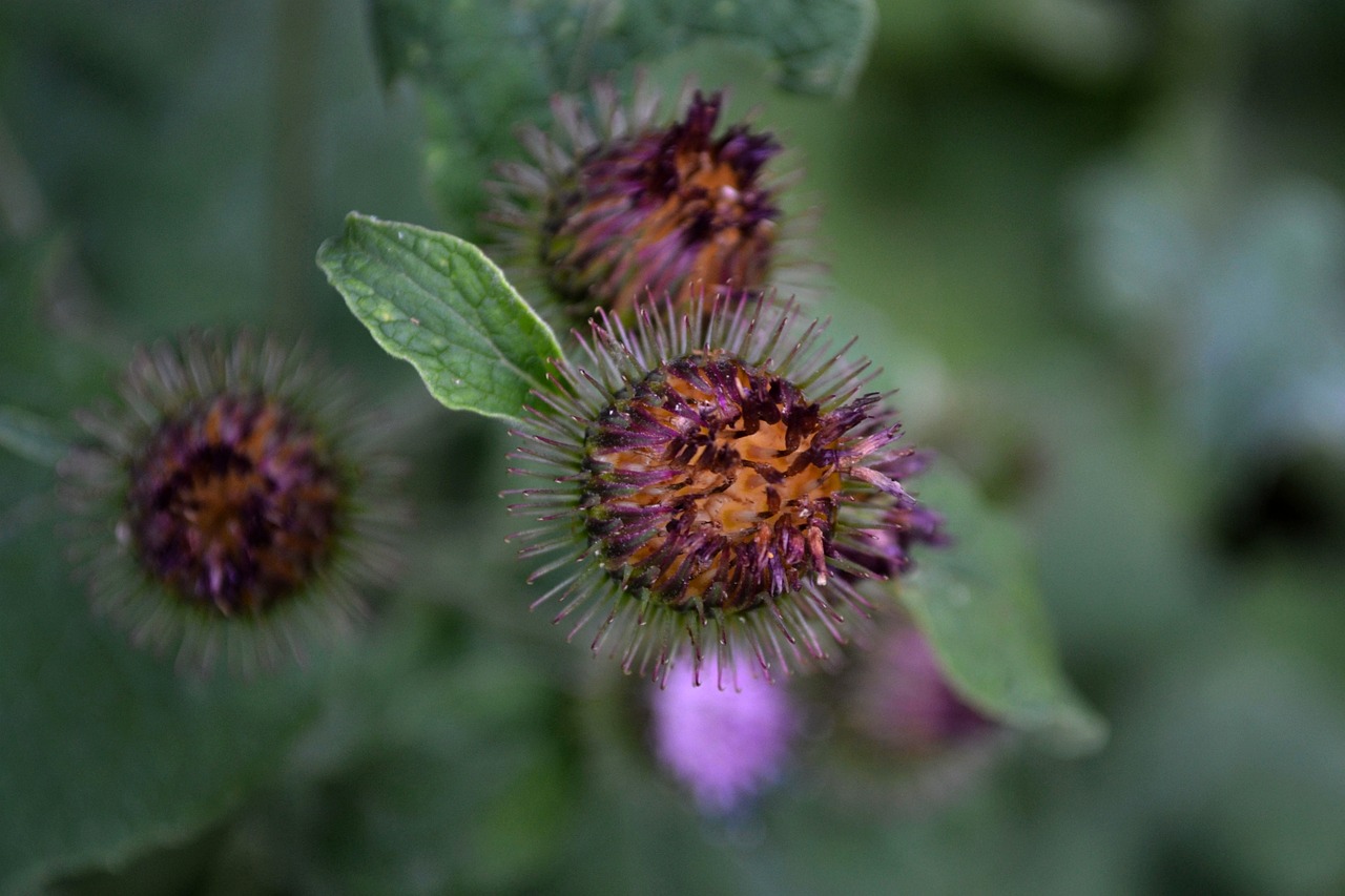 金东区教育网五月最新公告，更新与动态汇总