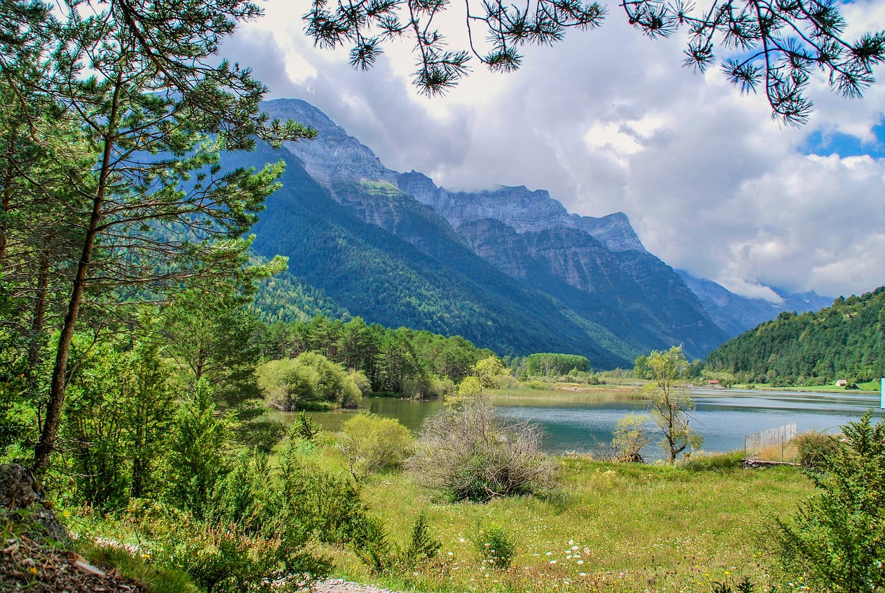 五月肉类市场最新价格动态及分析