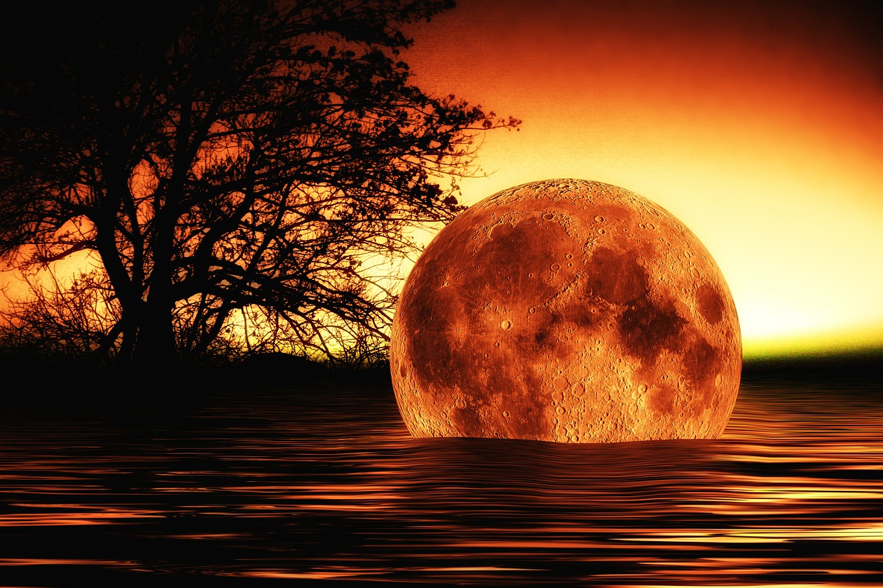 五月三生三世电影的奇幻之旅